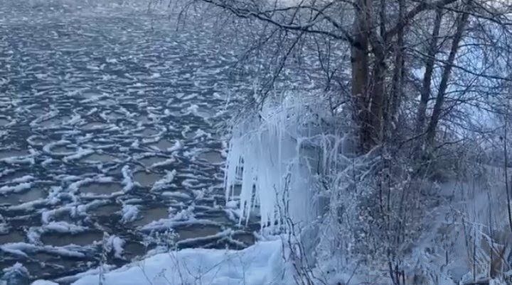 Фото автора.