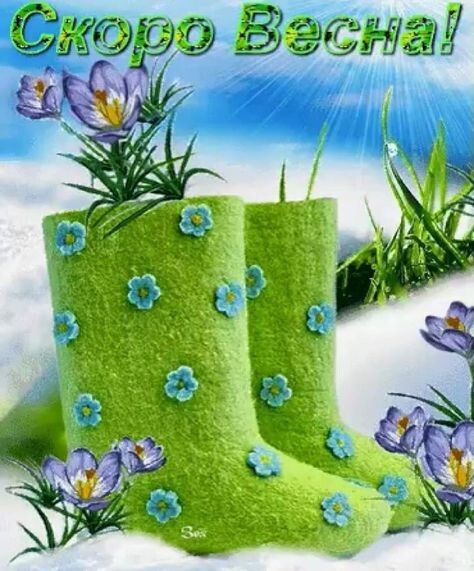 Картинка из общего доступа