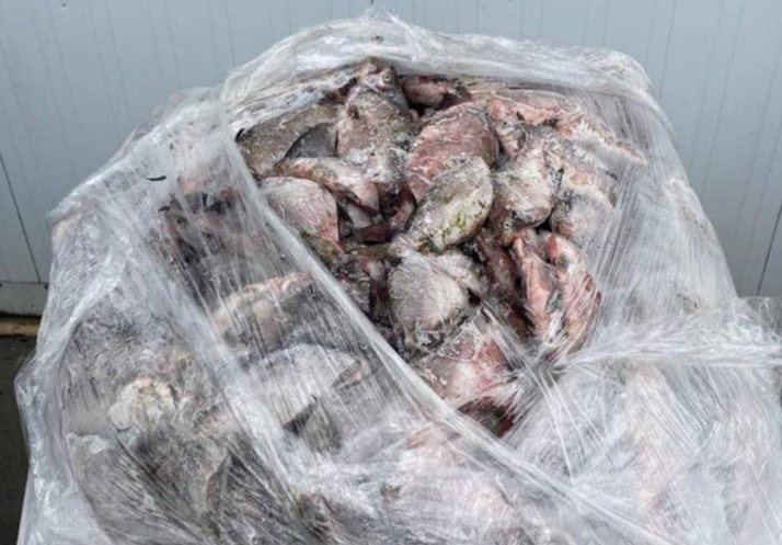    фото: УФСБ по РО Денис Забнин