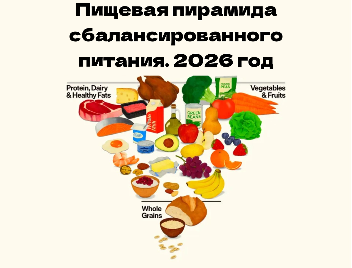 Пищевая пирамида. Последние изменения. 