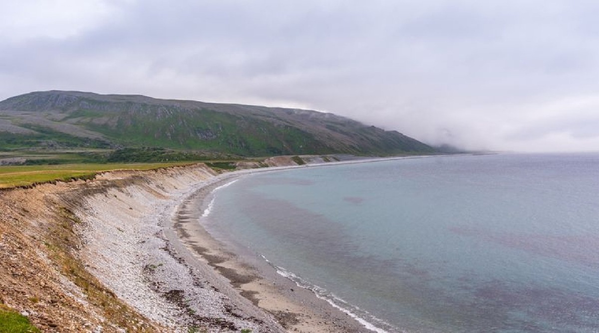    Фото: iStock/Mantas Volungevicius