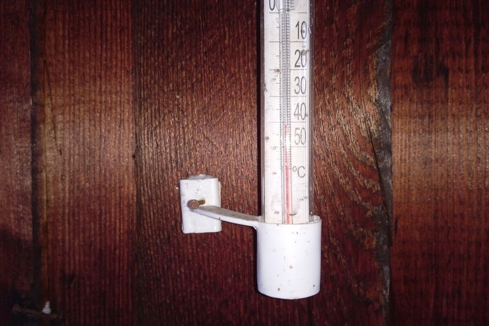   Татьяна ЗЫКОВА