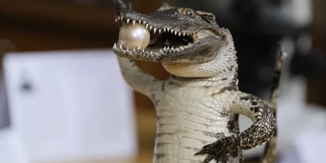 Что нельзя вывозить из Вьетнама?Топ неочевидных вещей