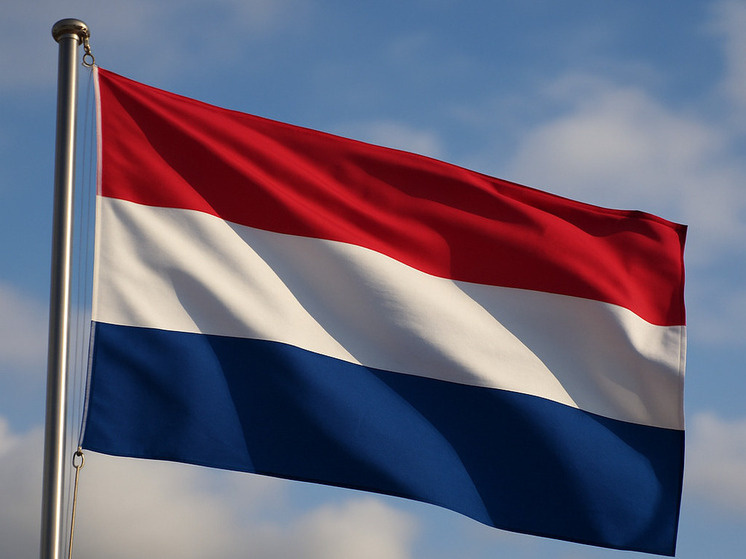     Фото: генерация ChatGPT