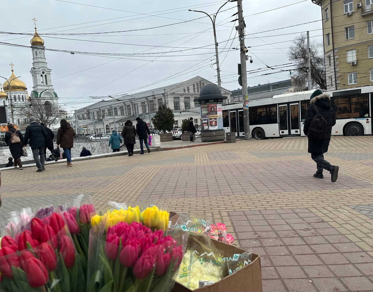 Ростов-на-Дону, 20 февраля 2026 г. Фото автора