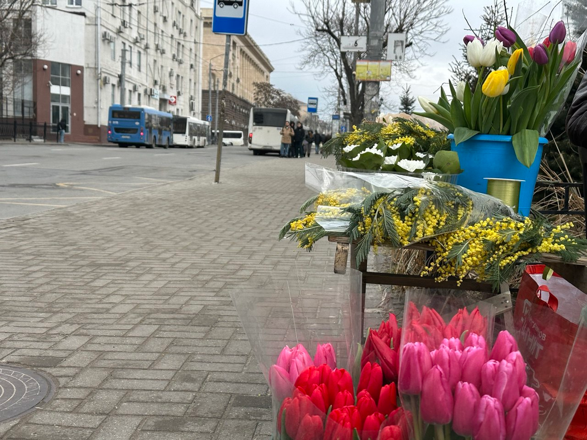 Ростов-на-Дону, 20 февраля 2026 г. Фото автора