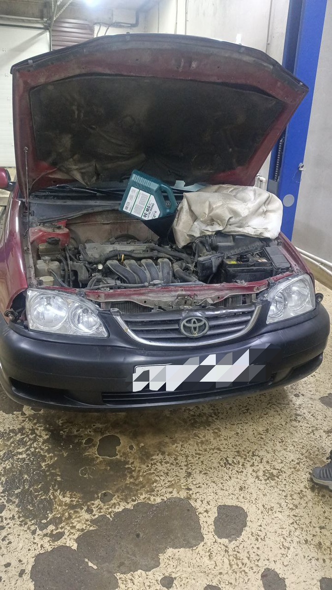 Наша лошадка в автобольничке