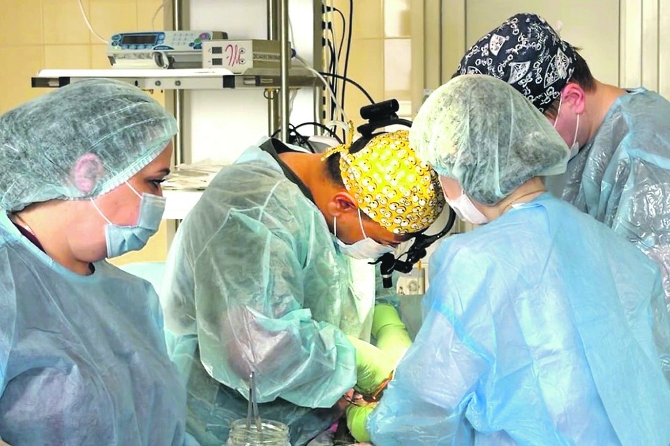    Растет число плановых операций, в том числе и высокотехнологичных. ТГ / Наталия Пащенко