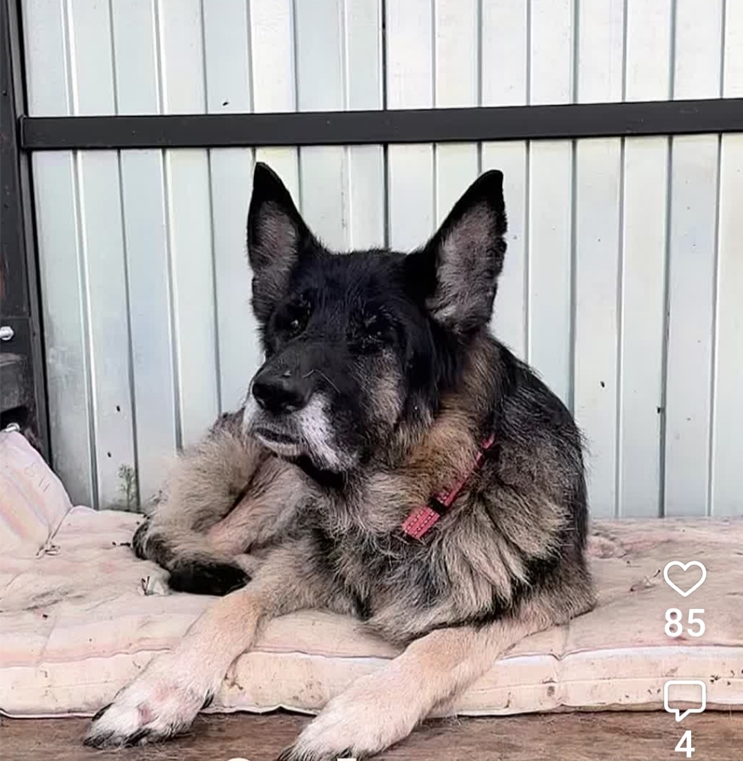 Гретта 12 лет