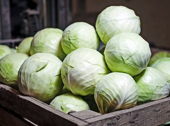 Идеальная капуста - в засолке лучше Славы: 4 лучших сорта. Квашеная хрустящая, белоснежная, не “дубовая”, мягкой не бывает. И хранится долго