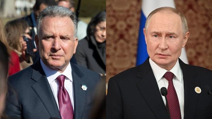 Обложка © Shutterstock / FOTODOM / noamgalai / Life.ru