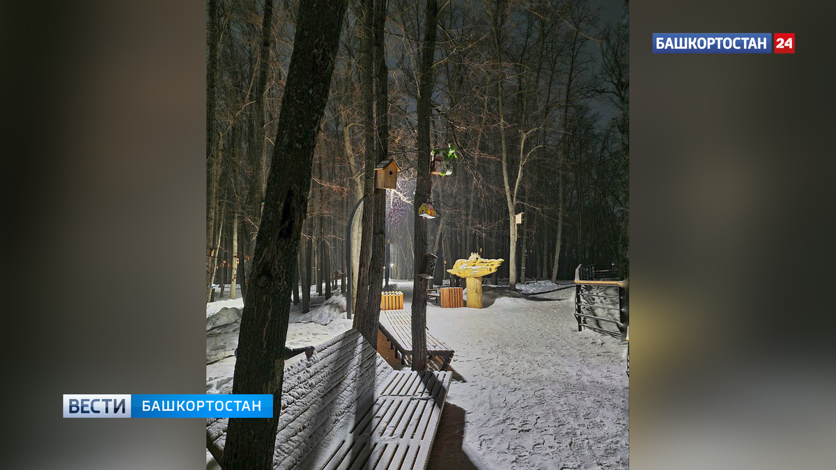    Ночью в Башкирии похолодает до -26