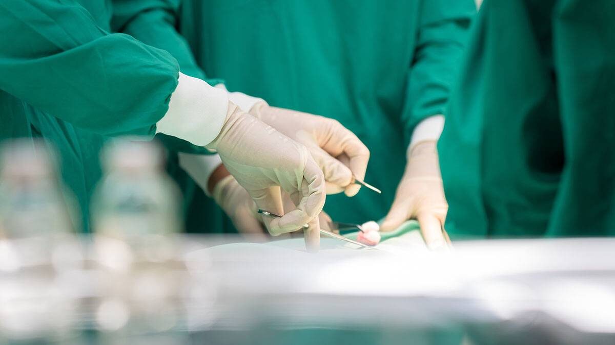    Фото: Shutterstock