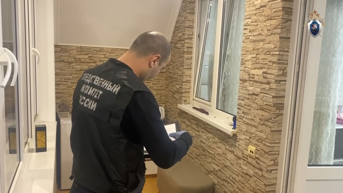    СК Владикавказ убийство девочки