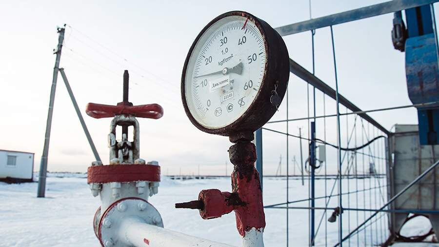    Фото: Global Look Press/Oleg Spiridonov