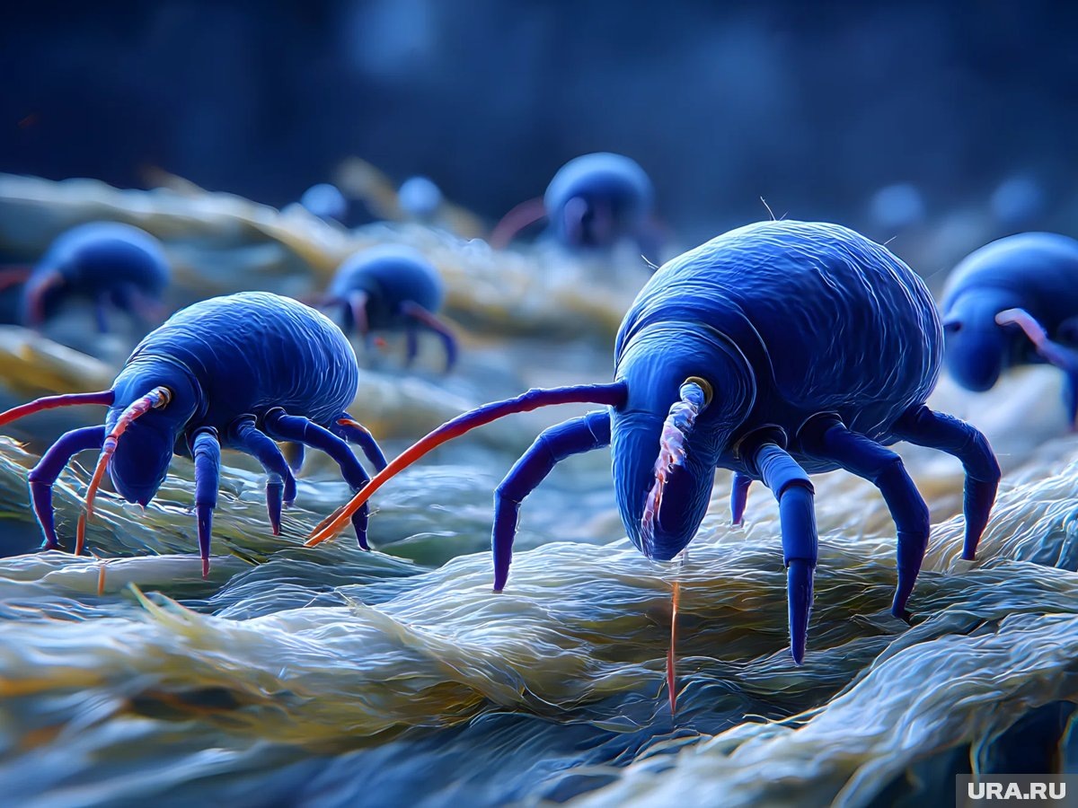     Если весна будет ранней, то и пик активности клещей начнется раньше, заявила Калинина