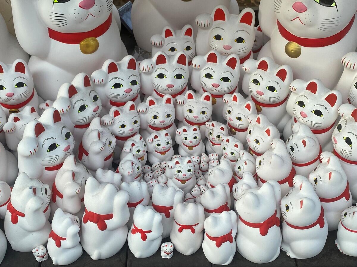    Празднование дня кошек в Японии | © РИА Новости / Ксения Нака