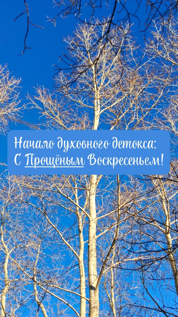 Устремляясь ввысь...