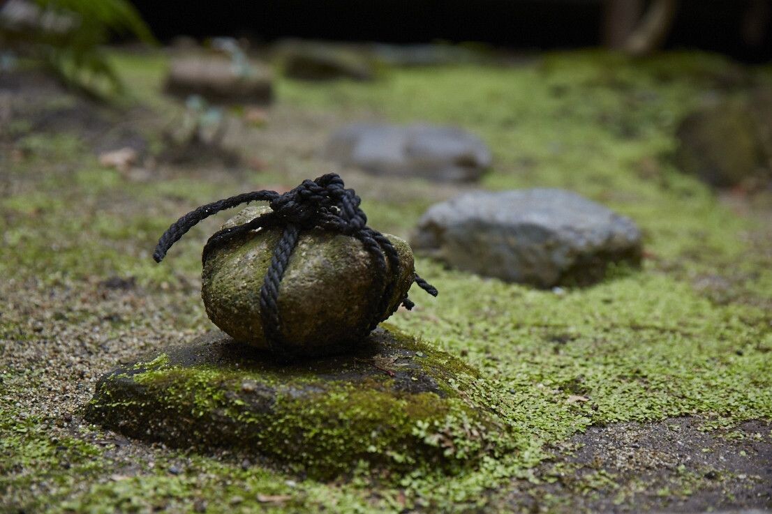 Фото из открытых источников.