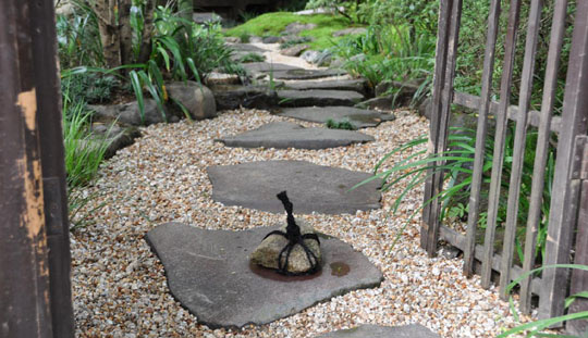 Фото из открытых источников.