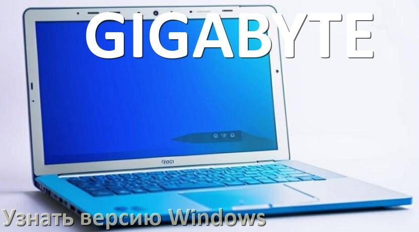
Как узнать что за Windows на ноутбуке GIGABYTE где посмотреть версию