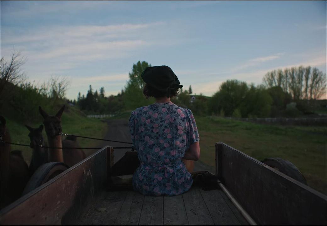 Кадр из фильма. «Train Dreams» снят как бы по принципу созерцателя, когда действо крутится не вокруг людей, а охватывает вообще весь мир и уделяет большое значение природе. Как тут не провести параллели с поздним творчеством Терренса Малика?