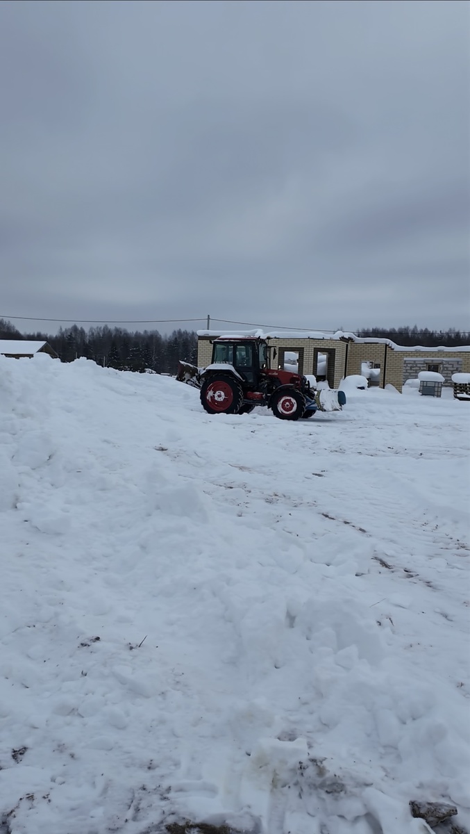 Снега в этом году не то чтобы много, такого количества я за всю свою сознательную жизнь не помню! 