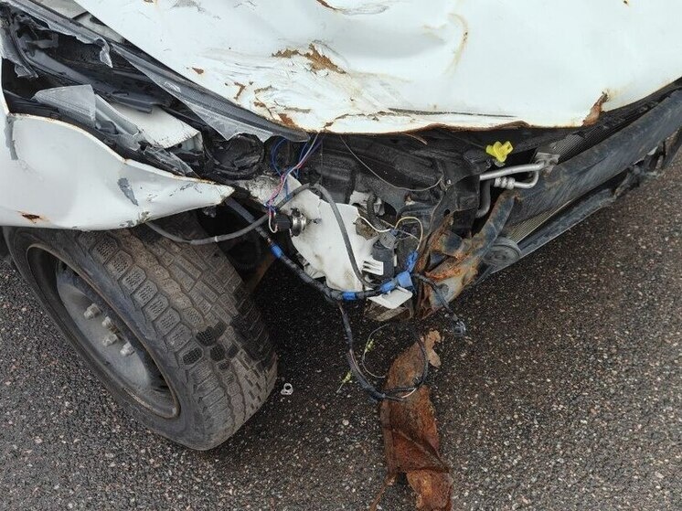     Сейчас полиция проводит проверку и выясняет все обстоятельства происшествия. Фото из архива "МК в Питере"