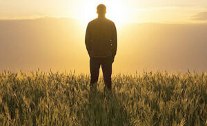 /  ФОТО сгенерировано ИИ Администратор  📷
