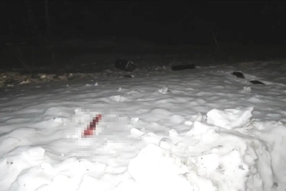    Фото: МВД по Красноярскому краю