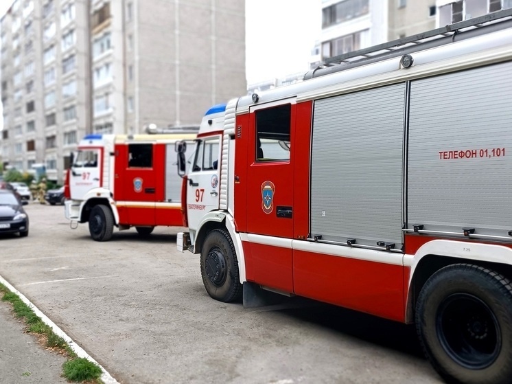     Пожарные машины. Фото: Николай Курилов / МК-Урал.