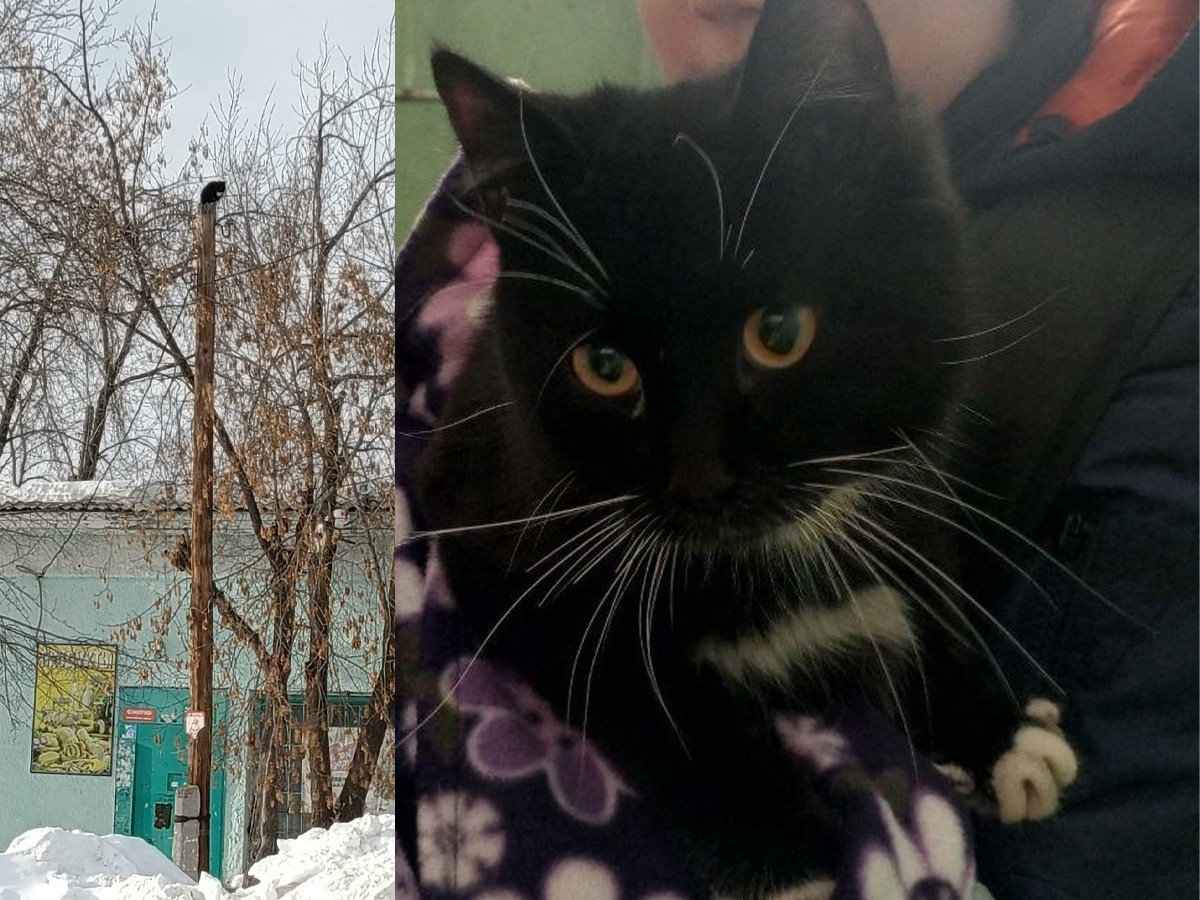     Фото: «ЗооСпас в Екатеринбурге» / vk.com/zoo_spas_ekb