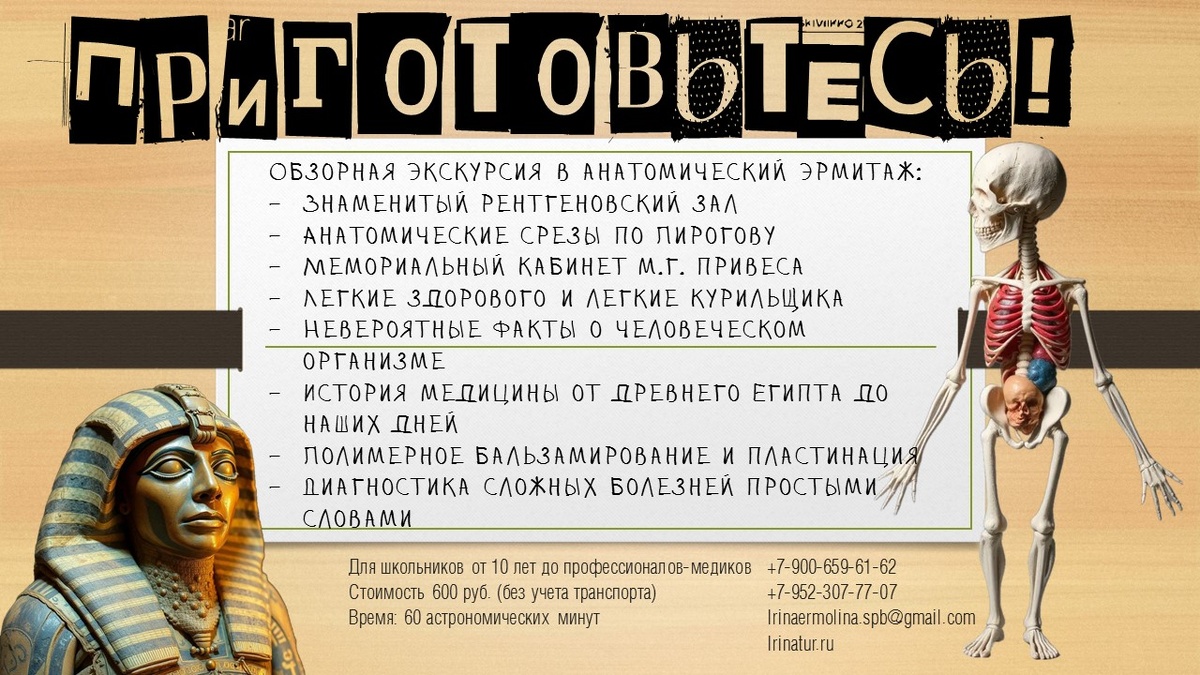 Описание экскурсии в Анатомический Эрмитаж