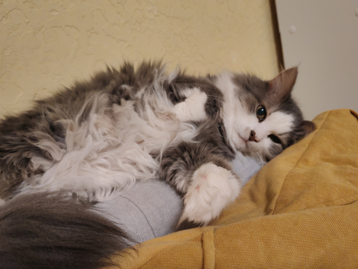 Будьте счастливы! 