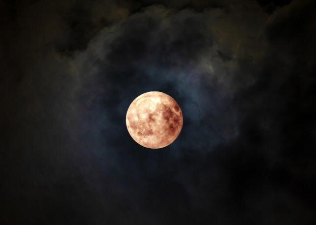  Фото: Юлия Боровикова («Вечерний Челябинск»)