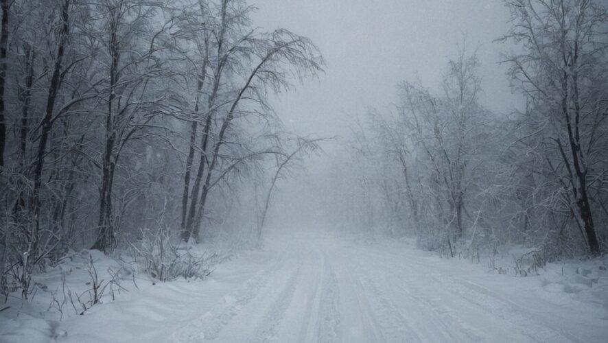    Фото: создано ИИ