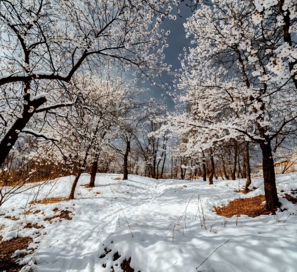 Снег в Москве растает только в мае? Реальность зимы 2026 года