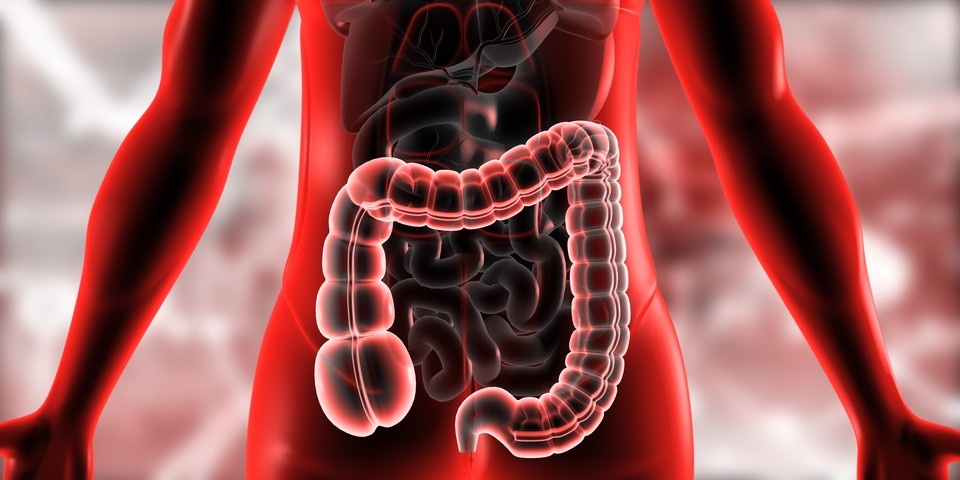    Фото: Explode/Shutterstock/Fotodom