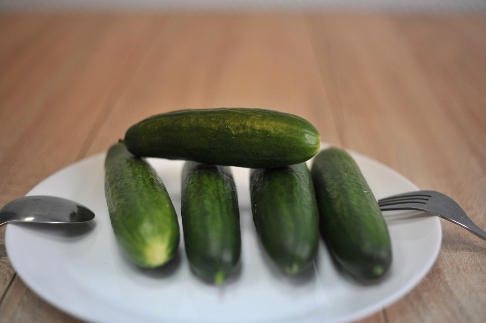    Пока огурцы на столе - деликатес. Дмитрий КУТЕПОВ