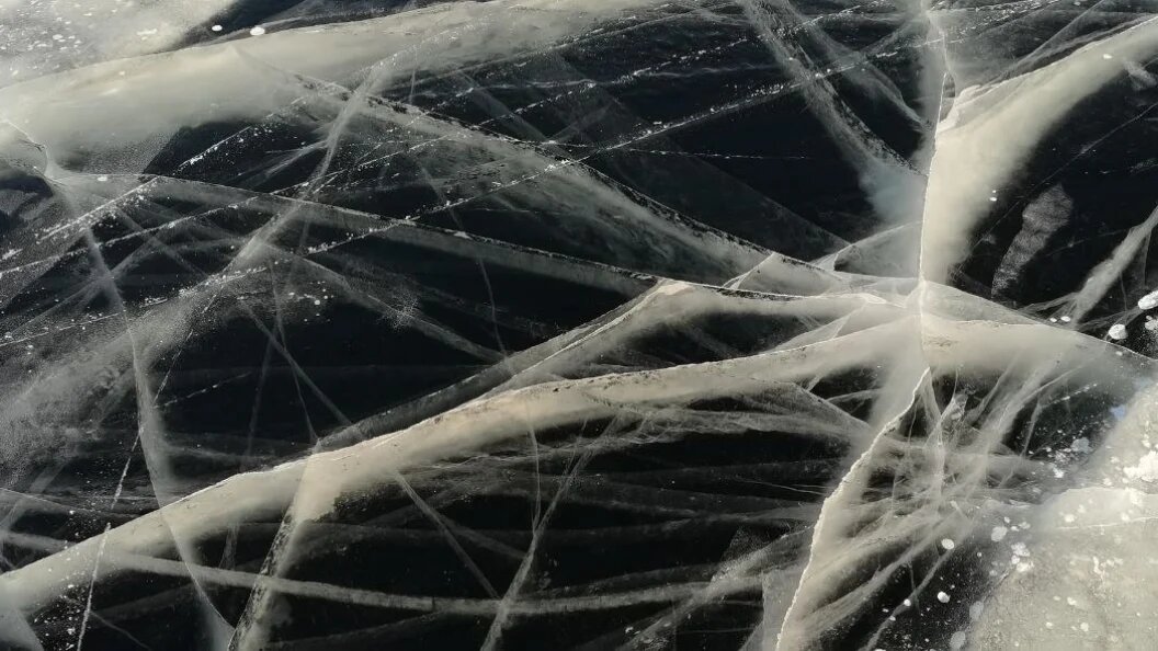    фото: Царьград