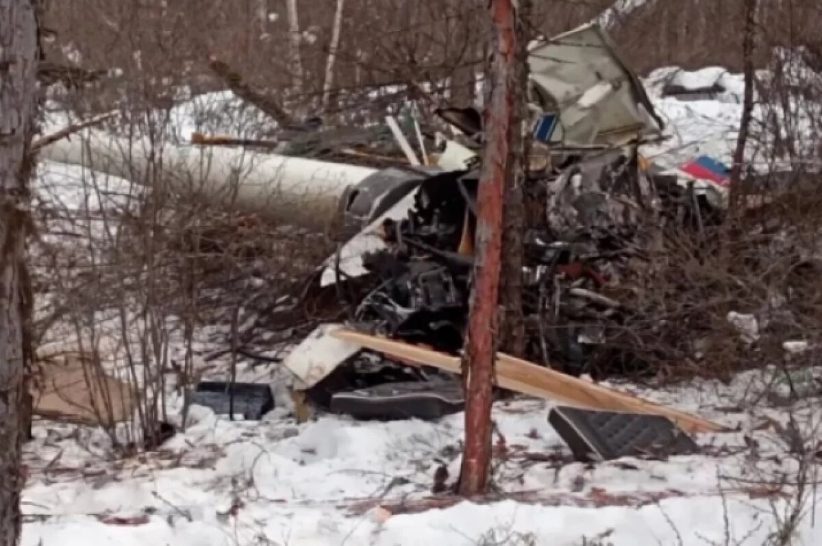    Нашли телефон пилота: раскрыты подробности крушения вертолета в Приамурье