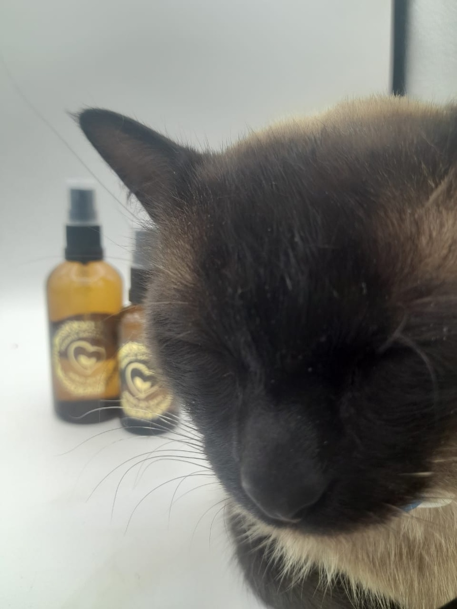 А на кошках мы испытываем валериану и котовник)