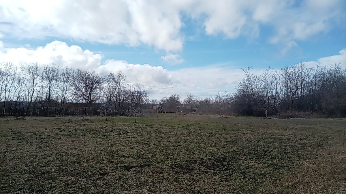 Это в огороде в пятницу. 