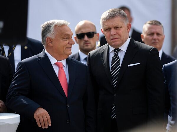    © AP Photo / Denes Erdos