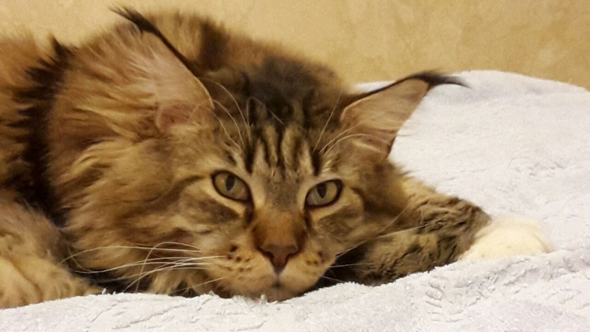 Личное фото