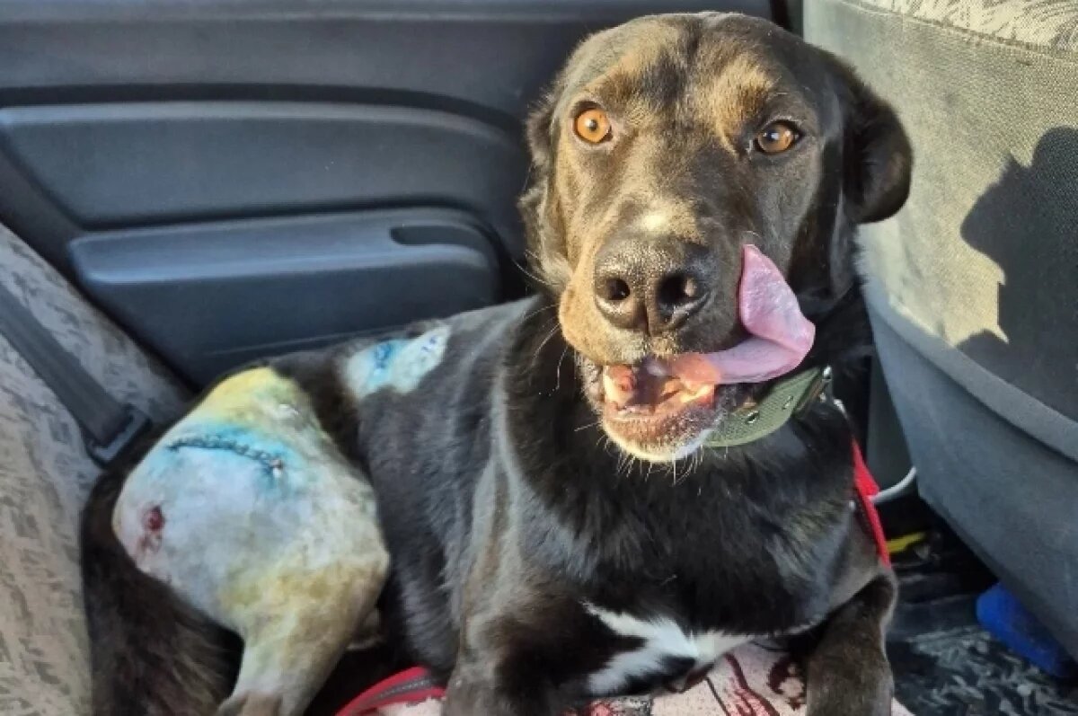    Лорду назначили большое количество препаратов