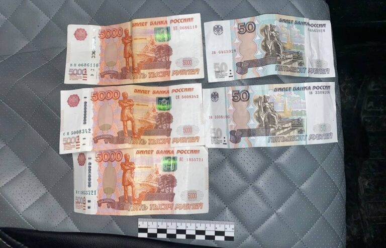    В Адамовском районе пьяный водитель пытался дать взятку инспектору ДПС Оренбуржье