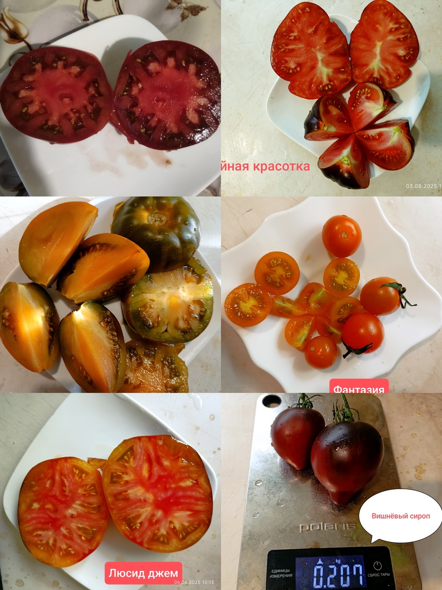 Коллаж для обложки