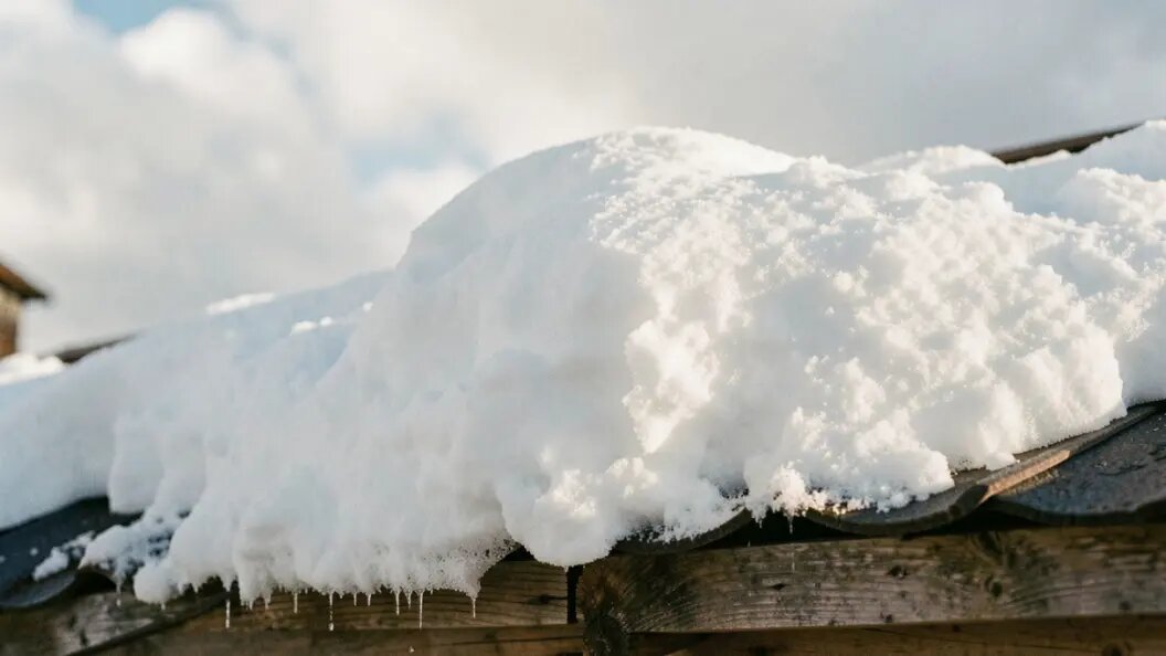    Коллаж ИИ/запрос Царьграда