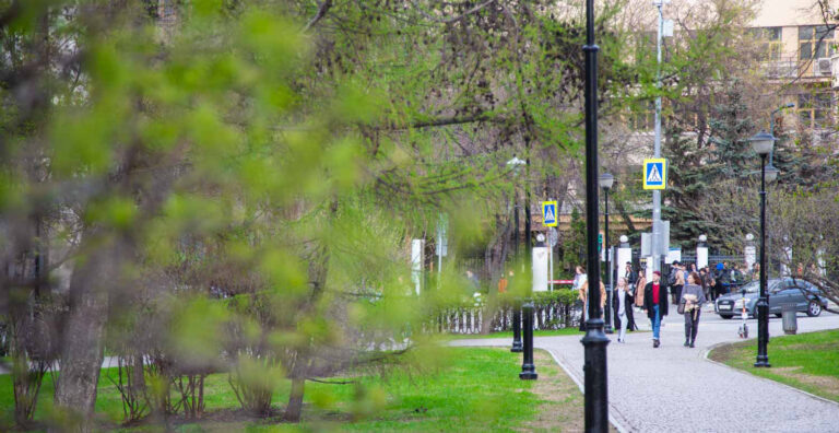    фото: Общественная служба новостей Лаура Акопян